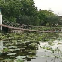 บ้านอิงสวนโฮมสเตย์สุวรรณภูมิ (Ban Ing Suan Homestay Suvarnabhum) รูปภาพที่ 14