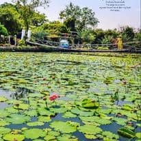 บ้านอิงสวนโฮมสเตย์สุวรรณภูมิ (Ban Ing Suan Homestay Suvarnabhum) รูปภาพที่ 18