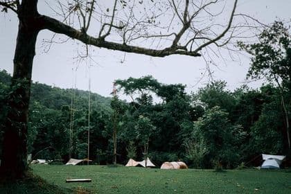 เดอะ บี แคมป์ปิ้ง (The Bee Camping) รูปภาพที่ 2