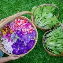 บ้านไร่ ไออรุณ (baan rai i arun) รูปภาพที่ 17