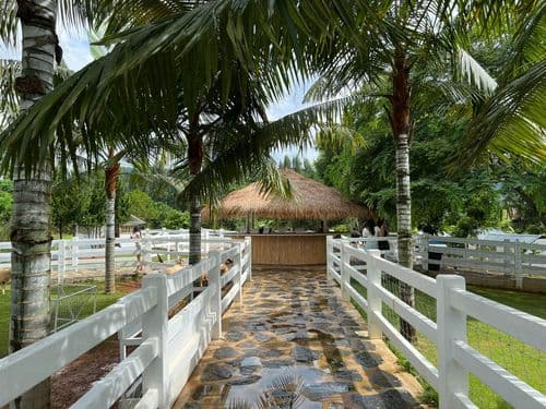 บูคอลเลค เขาใหญ่ (Bucolic Khaoyai) รูปภาพที่ 8