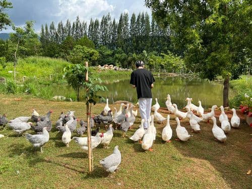 บูคอลเลค เขาใหญ่ (Bucolic Khaoyai) รูปภาพที่ 9