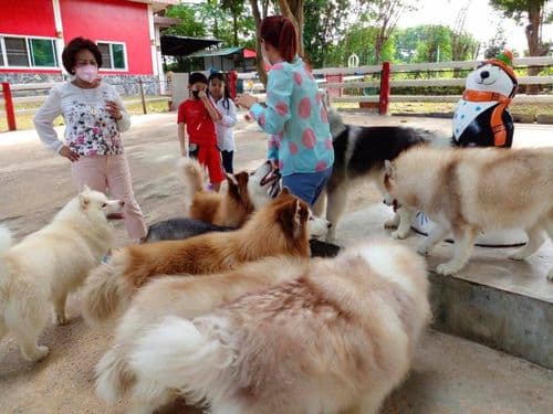 ไอ แอม ไซบีเรียน (I am Siberian) รูปภาพที่ 5