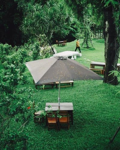 วิทอินเขาใหญ่ (Within Khaoyai) รูปภาพที่ 5