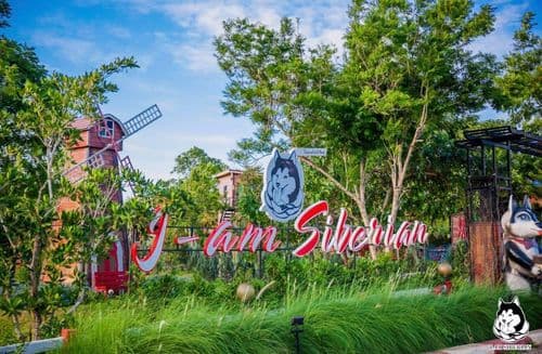 ไอ แอม ไซบีเรียน (I am Siberian) รูปภาพที่ 12