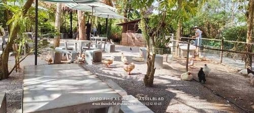 บ้านถั่วเย็น ไลฟ์สเปซ (Baantuayen Life Space) รูปภาพที่ 2