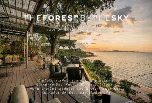 เดอะ ฟอเรส บาย เดอะสกาย (The Forest by The Sky) รูปภาพที่ 17