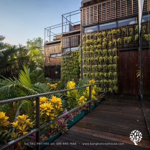 แบงค์คอกทรีเฮ้าส์ (Bangkok Tree House) รูปภาพที่ 13