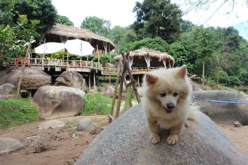 สเตย์ ไวล์ด แอนด์ คาเฟ่ (Stay Wild & Café) รูปภาพที่ 2