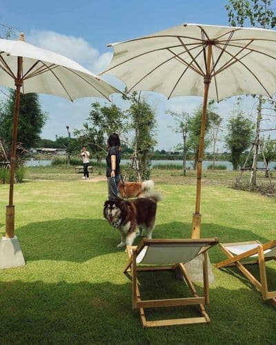 บ้านปรุงสุข (Ban Prung Sook Cafe) รูปภาพที่ 9