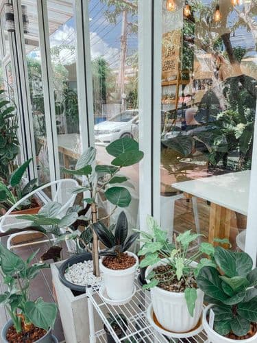 เติร์ดสเปซคาเฟ่คาเฟ่ (Third Space Cafe) รูปภาพที่ 6
