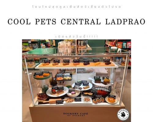 ด็อกเกอรี่คาเฟเพ็ทเดลี่ (Dogkery Cafe Pet Deli) รูปภาพที่ 10