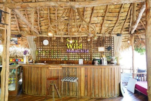 สเตย์ ไวล์ด แอนด์ คาเฟ่ (Stay Wild & Café) รูปภาพที่ 4