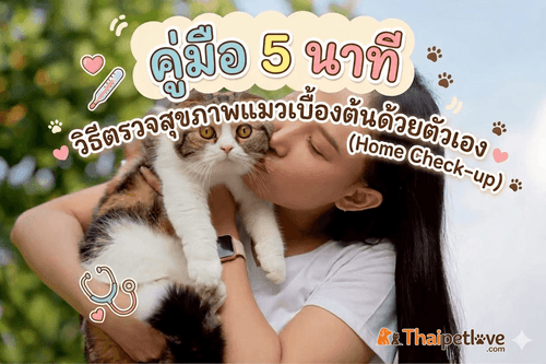 คู่มือ 5 นาที : วิธีตรวจสุขภาพแมวเบื้องต้นด้วยตัวเอง (Home Check-up)