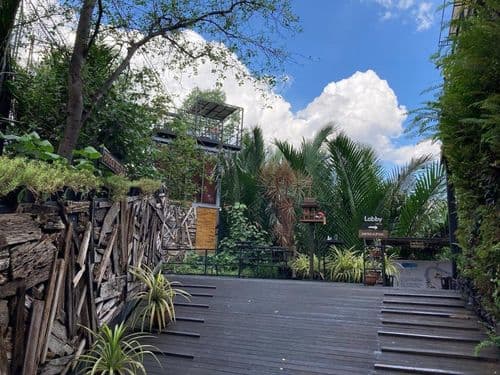 แบงค์คอกทรีเฮ้าส์ (Bangkok Tree House) รูปภาพที่ 11