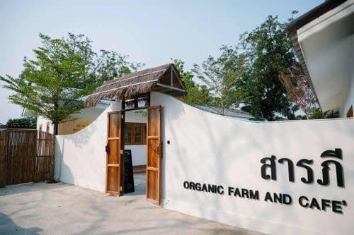 สารภีฟาร์ม แอนด์ คาเฟ่ต์ ลพบุรี (Saraphi Farm and Cafe Lopburi)  