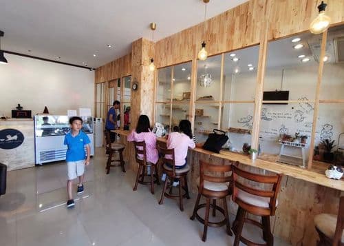 โรงพยาบาลสัตว์ กาญจนบุรี KanVet รูปภาพที่ 3