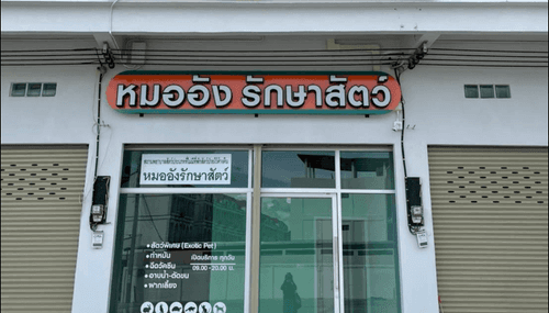 หมออังรักษาสัตว์