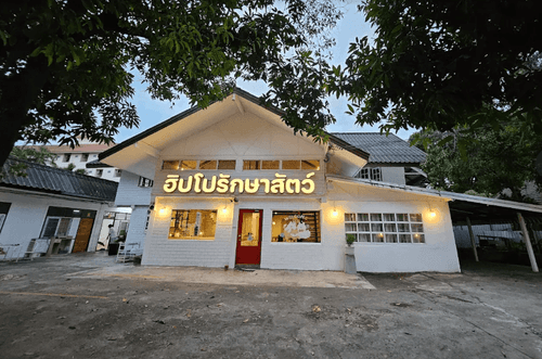 คลินิกฮิปโปรักษาสัตว์