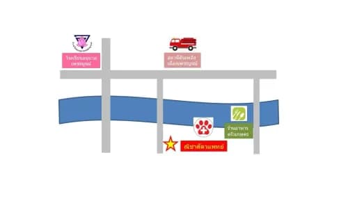 ณิชาสัตวแพทย์ รูปภาพที่ 3