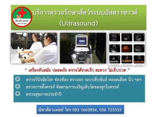 ณิชาสัตวแพทย์ รูปภาพที่ 2