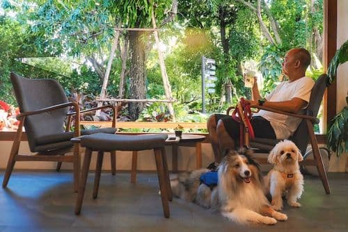 ลิตเติล แพลนท์ คาเฟ่ แอนด์ เวค ปาร์ค (Little Plant Café & Wake Park) รูปภาพที่ 2