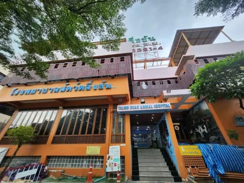 โรงพยาบาลสัตว์ตลิ่งชัน รูปภาพที่ 2