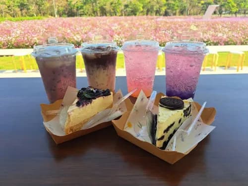บลิส แอนด์ บลูม คาเฟ่ (Bliss & Bloom Cafe) รูปภาพที่ 18