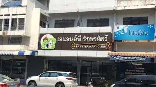 เอแอนด์พี รักษาสัตว์ - A&P Vet Clinic