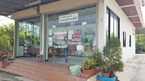 คลินิกแมลงปอรักษาสัตว์