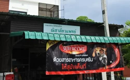 ณิชาสัตวแพทย์