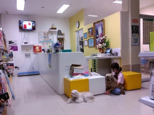 หมอรัก(ษ์)หมา รูปภาพที่ 2