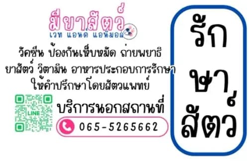 คลินิกรักษาสัตว์ มียาสัตว์ รูปภาพที่ 3