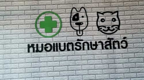 หมอแบตรักษาสัตว์