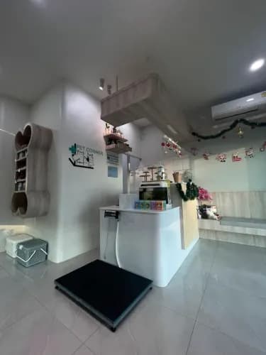 Pet Corner รักษาสัตว์  รูปภาพที่ 3