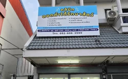 แม่นาเรือรักษาสัตว์