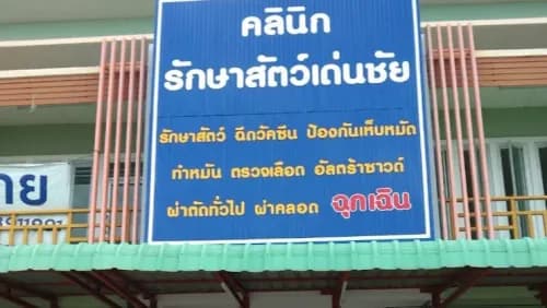 คลินิกรักษาสัตว์เด่นชัย