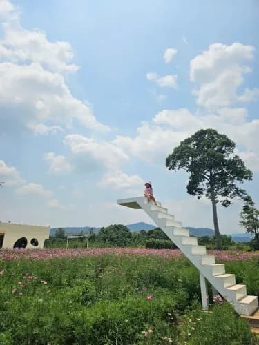 บลิส แอนด์ บลูม คาเฟ่ (Bliss & Bloom Cafe) รูปภาพที่ 8
