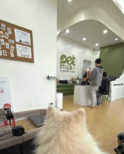 เพ็ททอล์ค คลินิกรักษาสัตว์ (Pettalk Veterinary Clinic) รูปภาพที่ 4