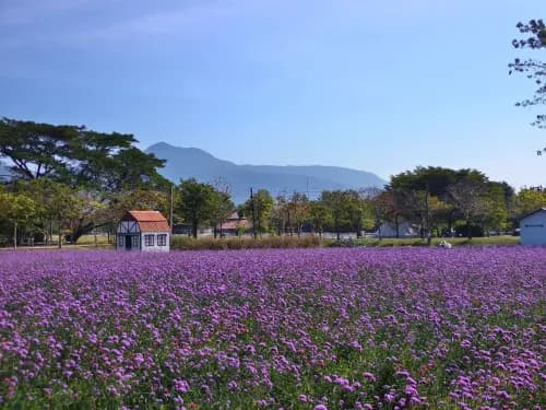 บลิส แอนด์ บลูม คาเฟ่ (Bliss & Bloom Cafe) รูปภาพที่ 21