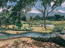บูคอลเลค เขาใหญ่ (Bucolic Khaoyai)