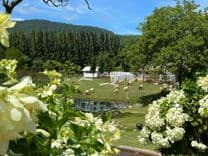 บูคอลเลค เขาใหญ่ (Bucolic Khaoyai)