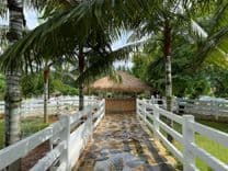 บูคอลเลค เขาใหญ่ (Bucolic Khaoyai)