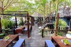 เก็คโค่ การ์เด้นท์ คาเฟ่ (Gecko Garden cafe)
