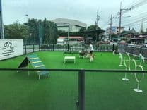 ลูน่าบอร์ดเกมส์คาเฟ่ (Lunar boargame&cafe)