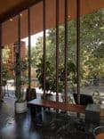 ซอฟต์คาเฟ่ (sop cafe)