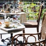 เต ทรีเฮ้าท์ (The’ tea house)