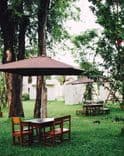 วิทอินเขาใหญ่ (Within Khaoyai)