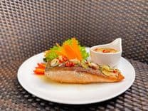 เจมี่ คาเฟ่ (Jamie Café)