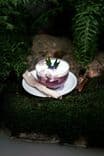 สโลว์ไรด์คอฟฟี่แอนด์คาเฟ่ (Slow Ride Coffee & Cafe)